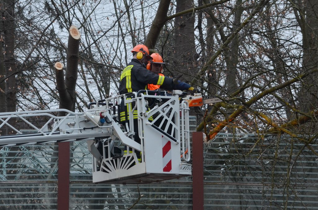 Einsatz BF Baum Koeln Vingst Vingster Ring P35.JPG - Miklos Laubert